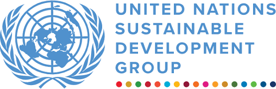 United Nations Sustainable Development Group