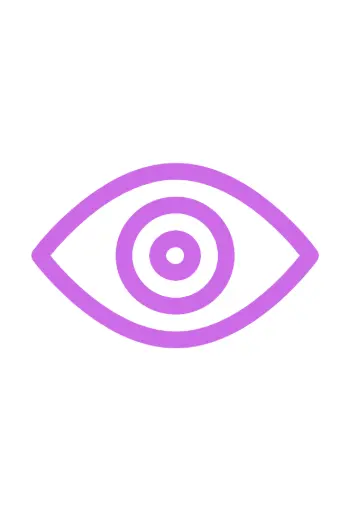 Vision